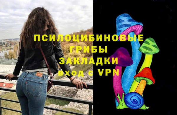 шишки Алзамай