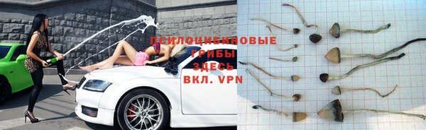 герыч Абаза