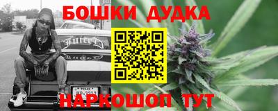 стафф Тосно
