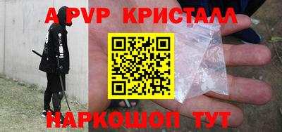 стафф Тосно