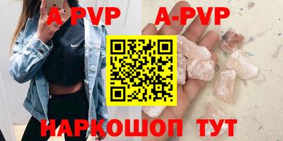 стафф Тосно