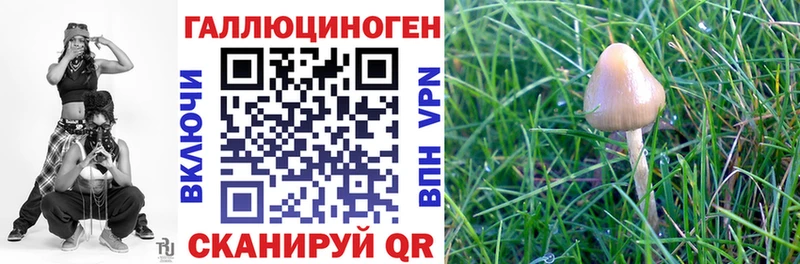 OMG ТОР  Сочи  Псилоцибиновые грибы Magic Shrooms 